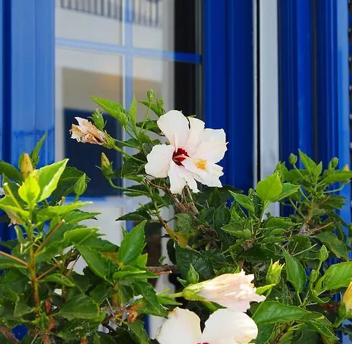 리조트 Casitas Del Mar Lanzarote Island