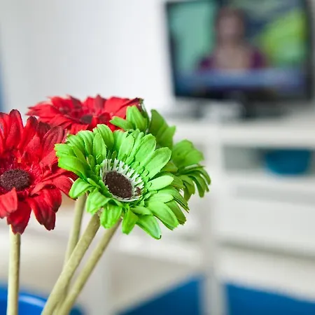 Resort Casitas Del Mar