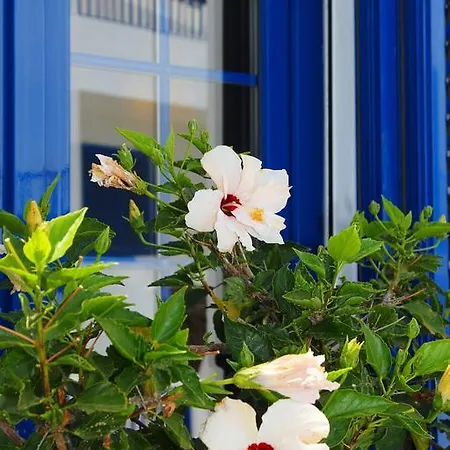 Hotel Casitas Del Mar Lanzarote Island